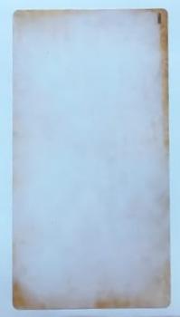 Etiketten, Gewürze, rustikal, 9,5 x 5 cm, ohne Druck (100 Stück)